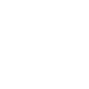 Ig logo